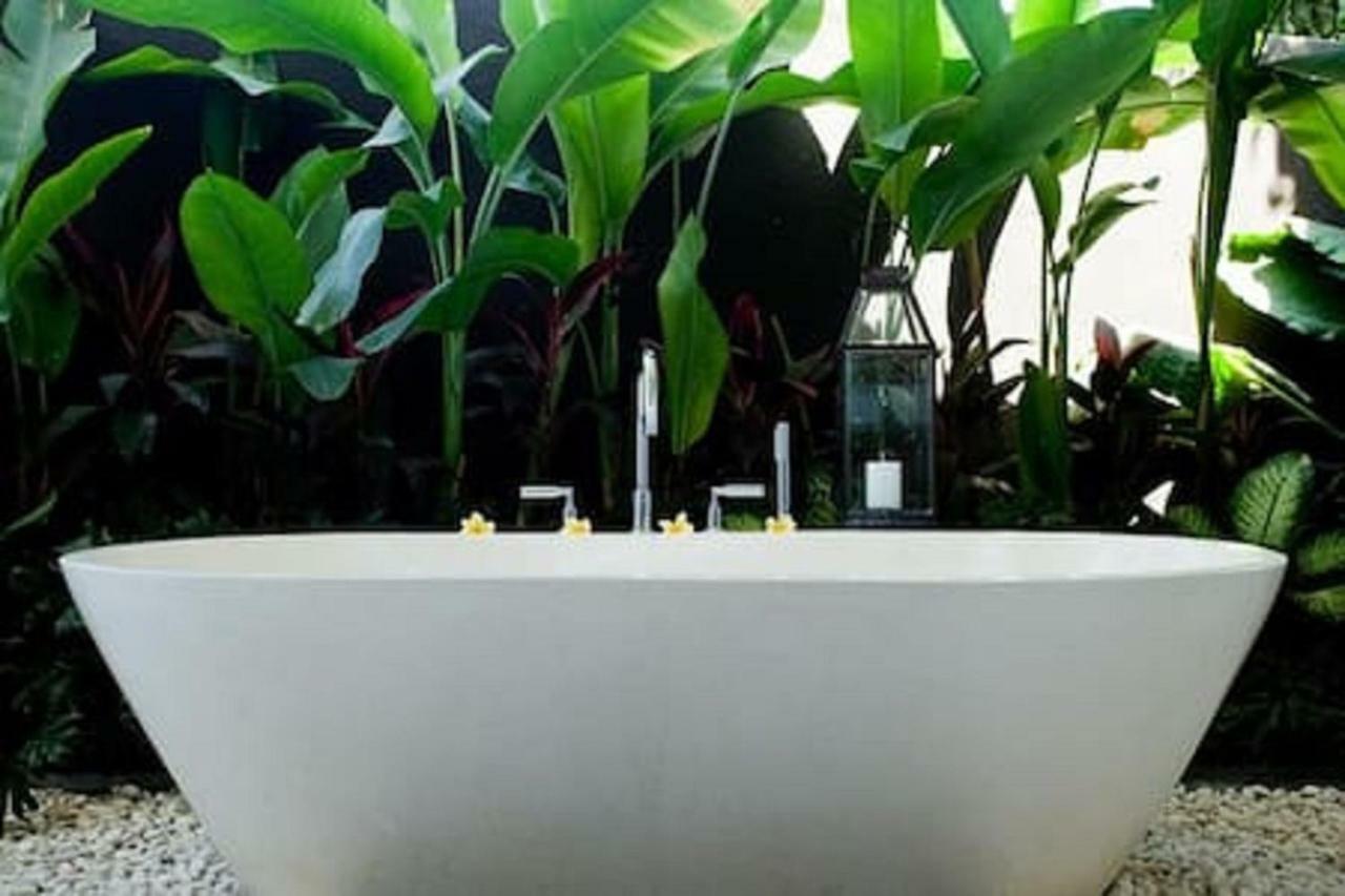 Villa Anema Umalas 세미냑 외부 사진